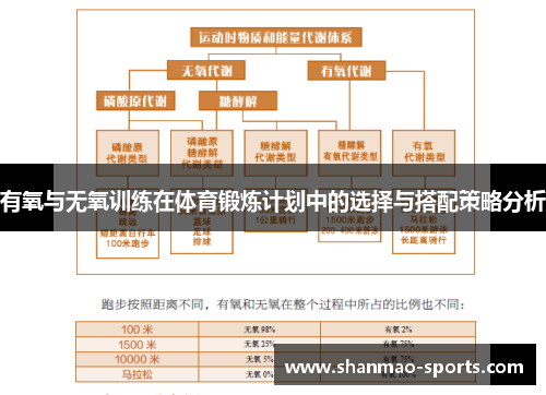 有氧与无氧训练在体育锻炼计划中的选择与搭配策略分析