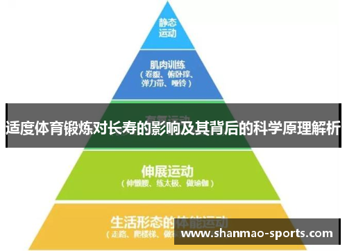 适度体育锻炼对长寿的影响及其背后的科学原理解析